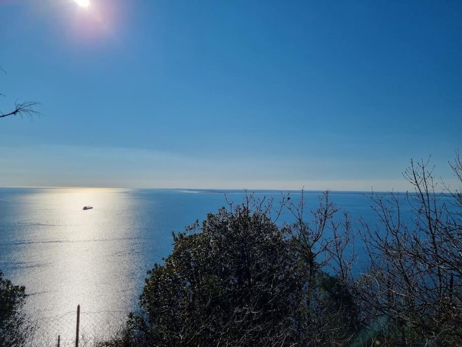 Residence Montanelli Trieste Esterno foto